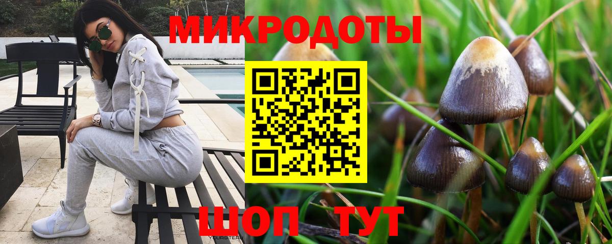 Лениногорск  Псилоцибиновые грибы мицелий  где купить наркотик  Вход с VPN 